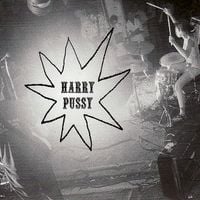 Harry Pussy - You'll Never Play This Town Again