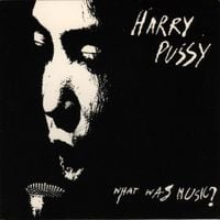 Harry Pussy - What Was Music?