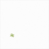 Ulla - Little Window