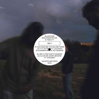 Bluestaeb - 365 P