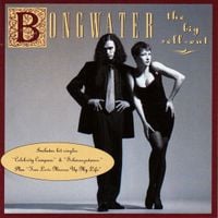 Bongwater - The Big Sell-Out