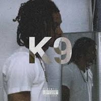 1300SAINT - K9
