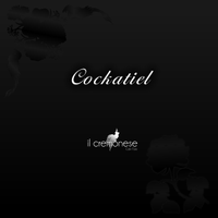 okameP - Cockatiel