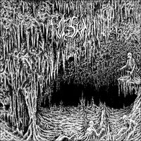 Frogskin - III - Into Disgust