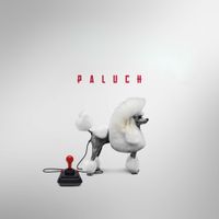 Paluch - Ładni smutni ludzie