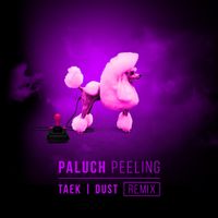 Paluch - Peeling (Remix)