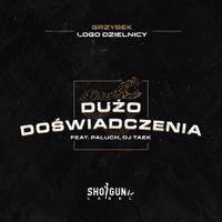 Paluch - Dużo doświadczenia