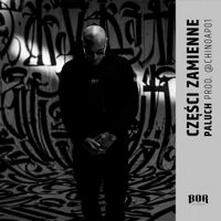 Paluch - Części Zamienne