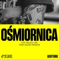 Paluch - Ośmiornica