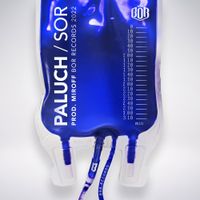 Paluch - SOR