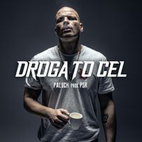 Paluch - Droga to cel
