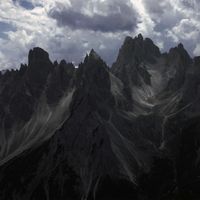 Paluch - RYSY