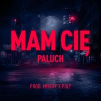 Paluch - Mam Cię