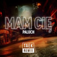 Paluch - Mam Cię (Remix)