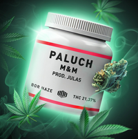 Paluch - M&M