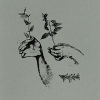 Rosemary nods upon the grave - EP 1
