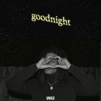 V0ice - goodnight