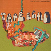 Torb The Roach - Tape Echo - Gold Floppies