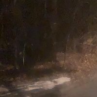 Gods Wisdom - Small Town Drama
