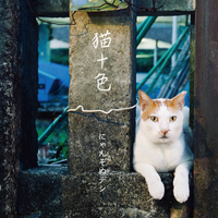 にゃんぞぬデシ [Nyanzonu Deshi] - 猫十色