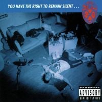 X-Cops - You Have the Right to Remain Silent...