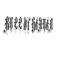 Bull of Heaven - 261: A Feeling for the Order Lying Behind the Appearance