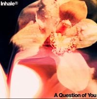 Inhaler - A Question of You