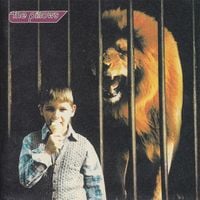 the pillows - LITTLE BUSTERS