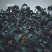 Martin Stürtzer - Autumn Tapes