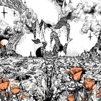Evolfo - Last of the Acid Cowboys