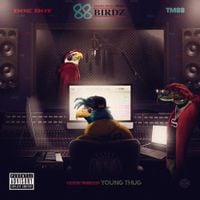 Doe Boy & TM88 - 88 Birdz