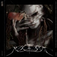 Miss Jay - Nocturnal