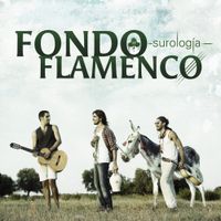 Fondo Flamenco - Surolog&iacute;a