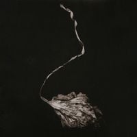 Maggie Rogers - Blood Ballet