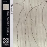 Otomo Yoshihide & Sachiko M - Filament 1