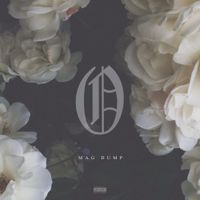 Orphan - Mag Dump