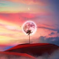 Kid Kio - Signs of Hope