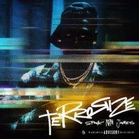 Spank Nitti James - Terrorize