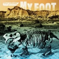 the pillows - MY FOOT