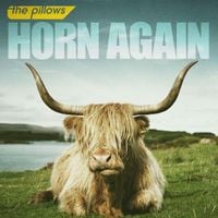 the pillows - HORN AGAIN