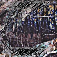 Sterling Bidler - A Big Distraction