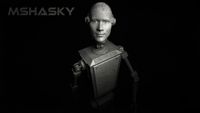 Mshasky - Blitzkraut - Enter the House of Vessels