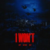 sindr - I WON'T