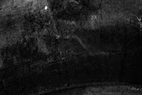 Black Phillip - Simulations