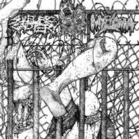 Sulfuric Cautery - MYXOMA SPLIT