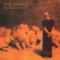 The Sound - From the Lions Mouth