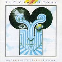 The Chameleons - What Does Anything Mean? Basically