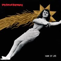 Dog Faced Hermans - Hum of Life