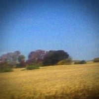 Sun Kil Moon - Benji