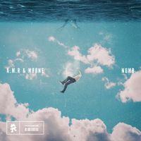 A.M.R - Numb